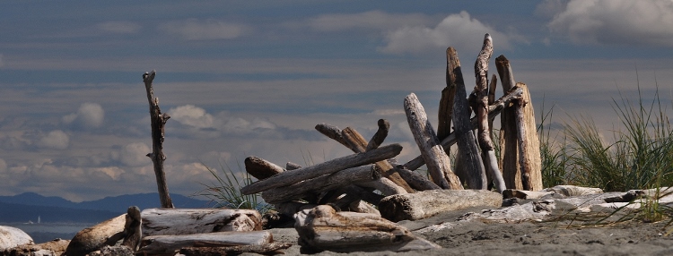 driftwood construct